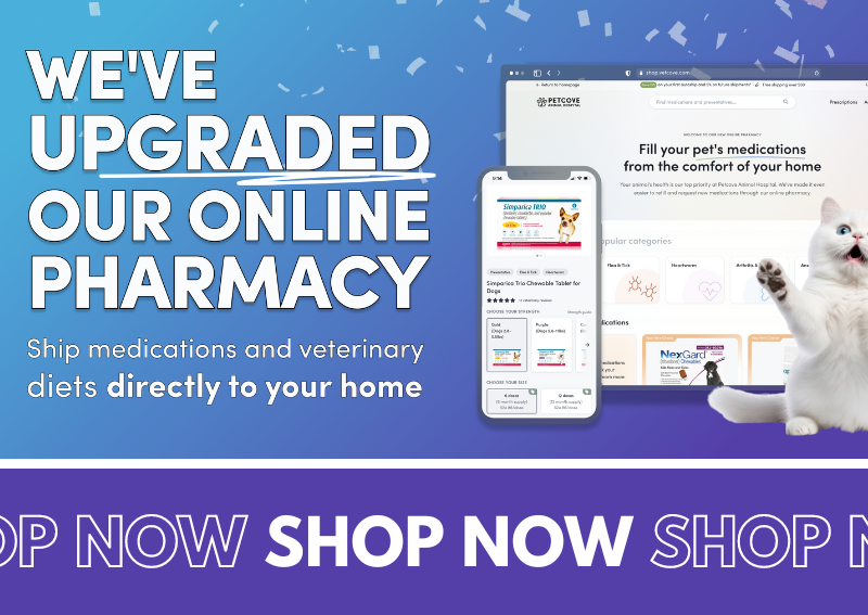 Carousel Slide 6: Check out our online pharmacy!